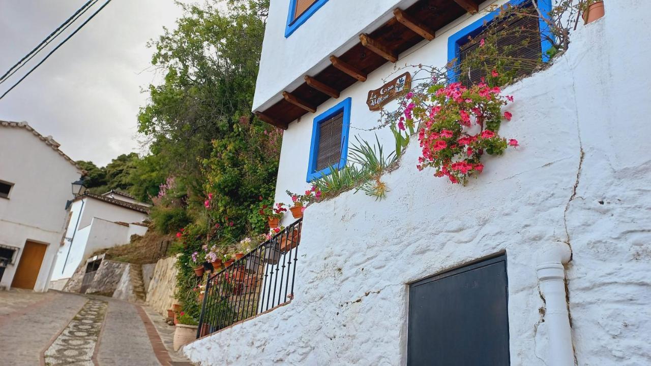 Casa El Olivo By Casaturistica Villa Benalauría Exterior foto