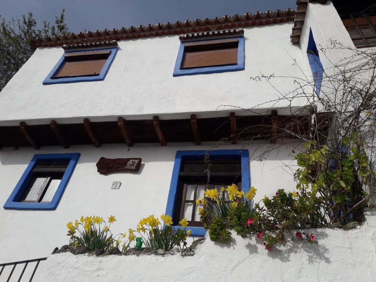 Casa El Olivo By Casaturistica Villa Benalauría Exterior foto